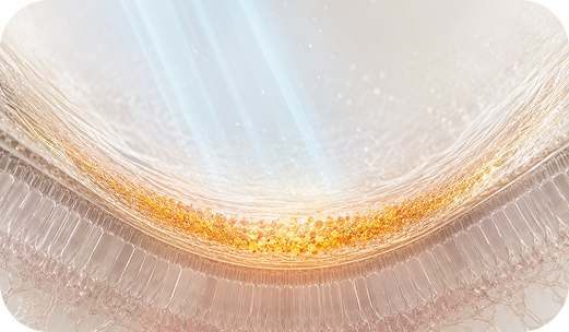 Support and Protect the Retina